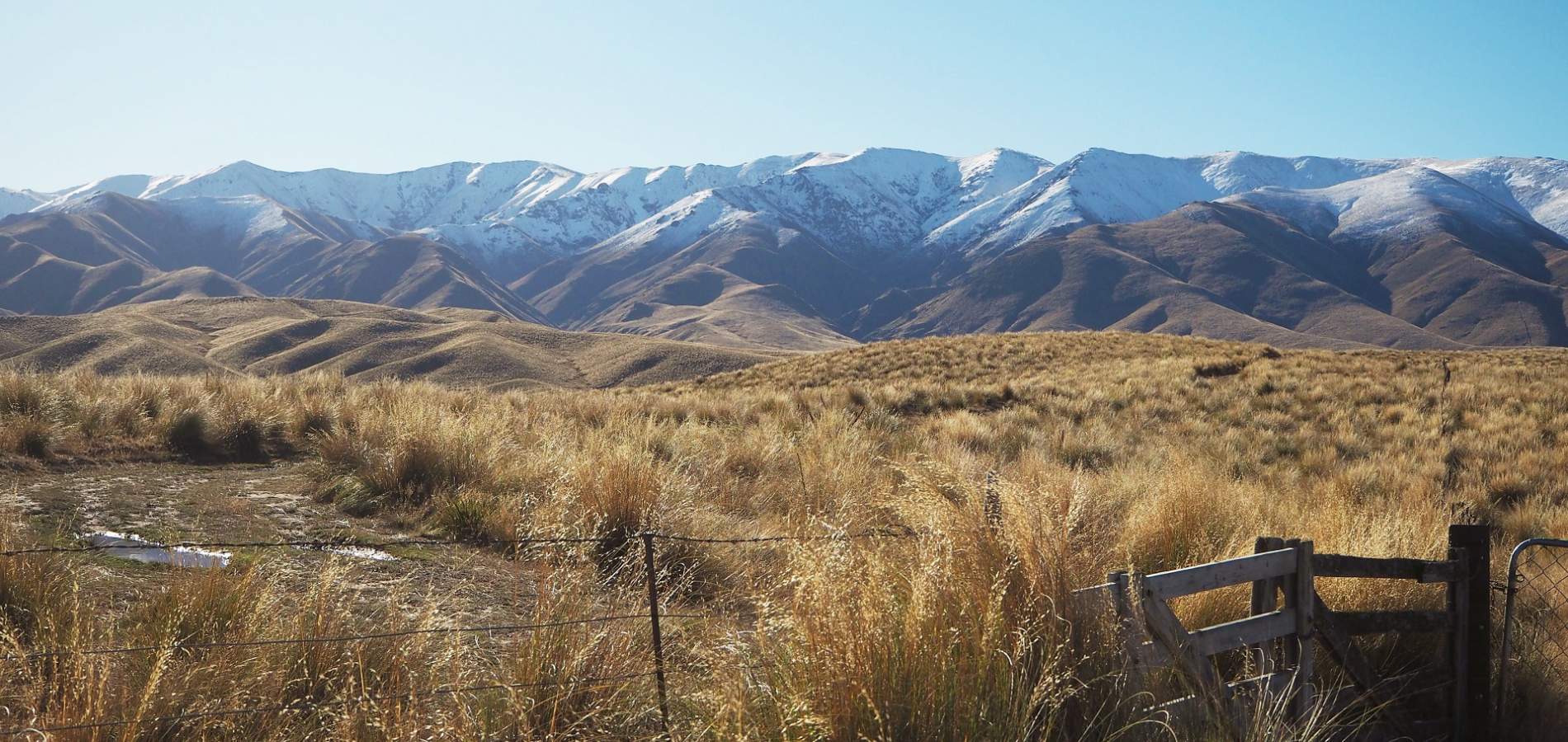 Alternative CO landscape image