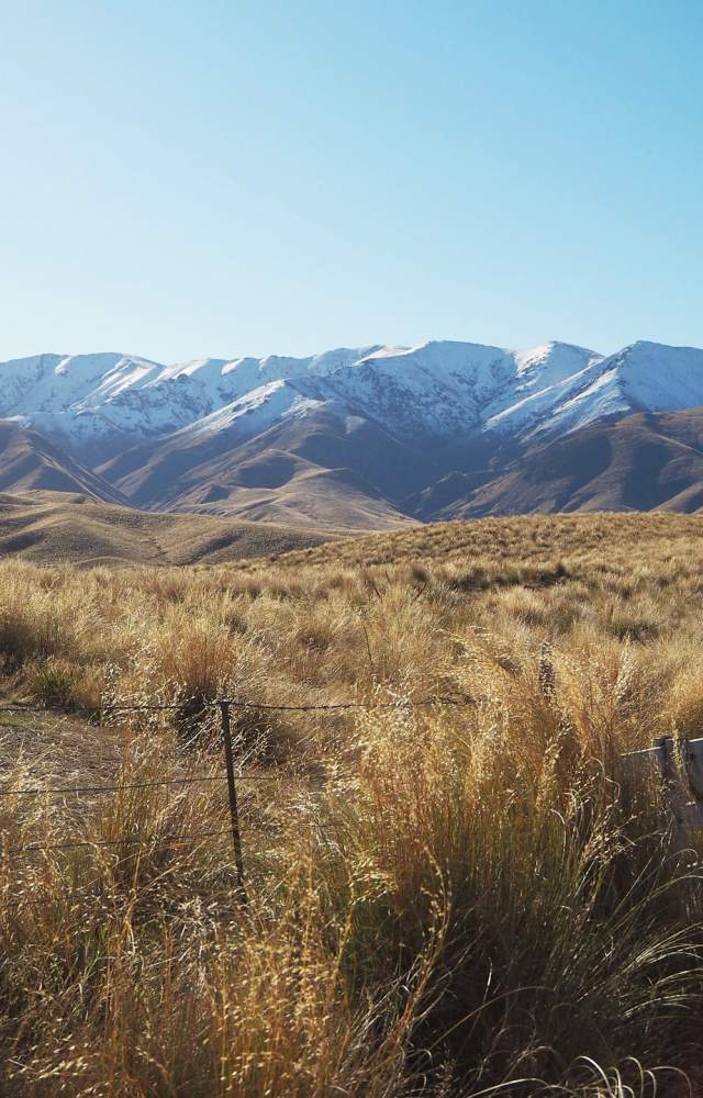 Alternative CO landscape image