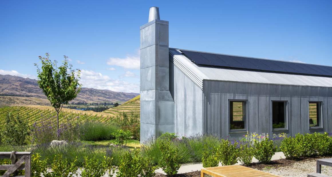 CO NZWINE 23 RBPHOTO (170)