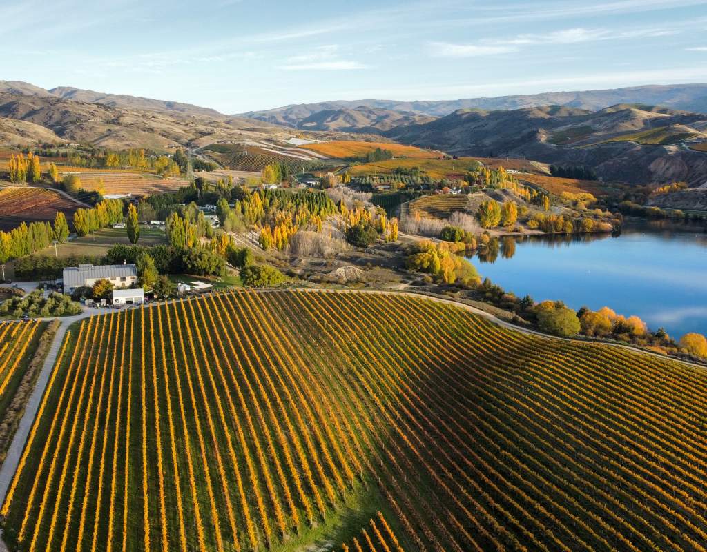 Carrick vineyard and Bannockburn Inlet