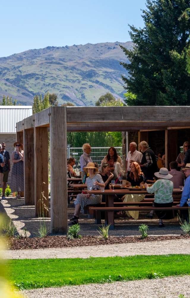 Cellar Door
