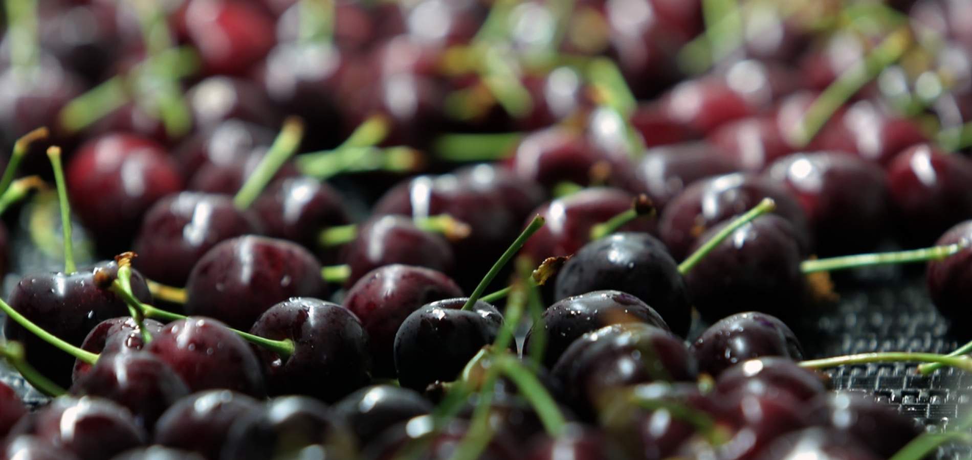 Cherries 3
