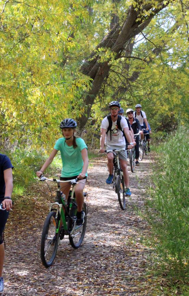 Clyde Alex Trail