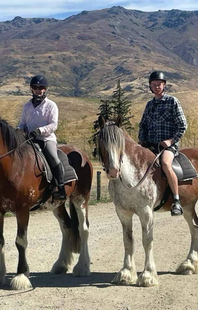 Clydesdales ridden