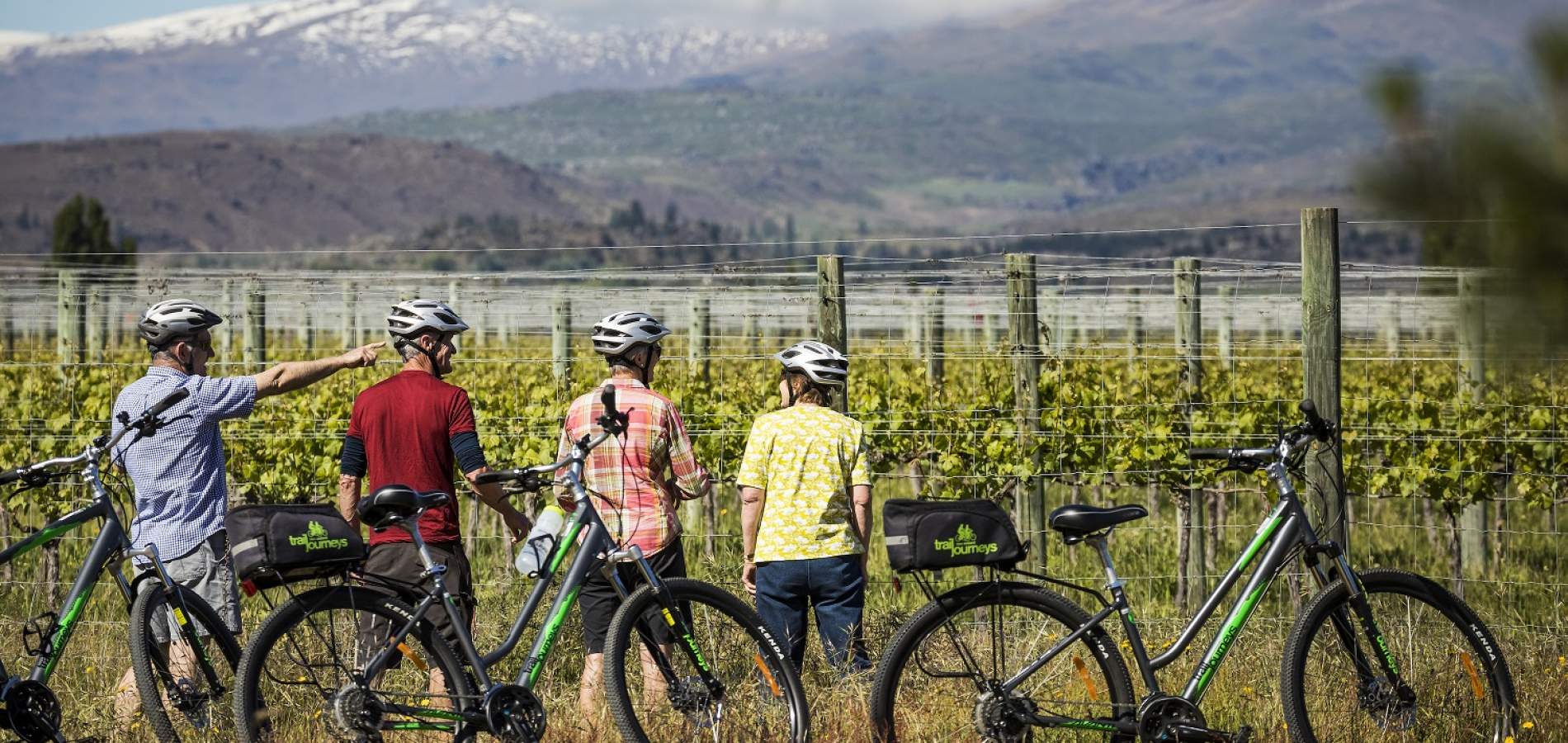 Cycle by wineries resized