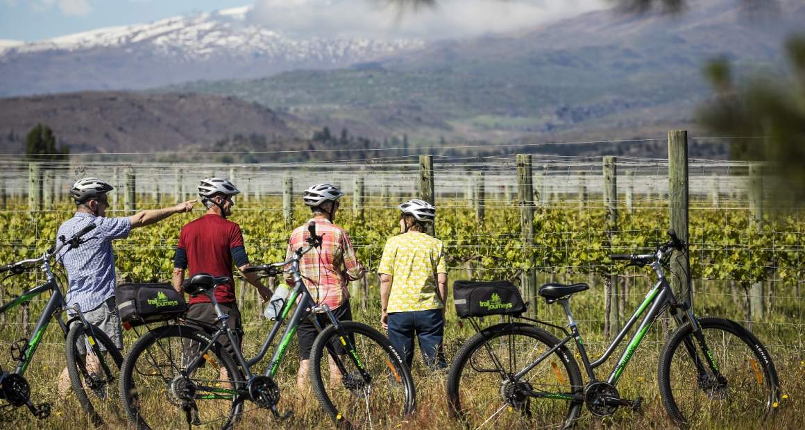Cycle by wineries resized
