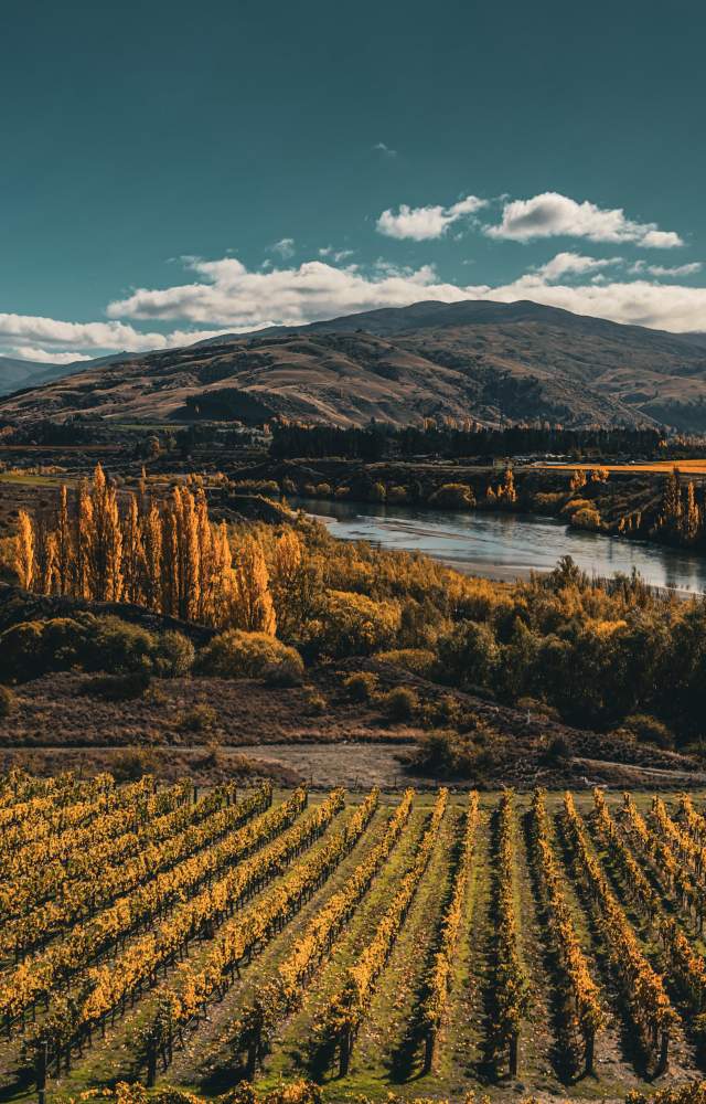 Latitude 45 Ultimate Experience Central Otago