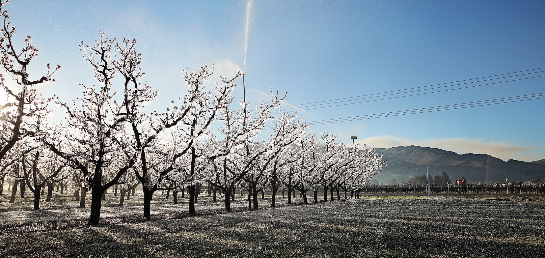 Spring Orchard Frost Fighting