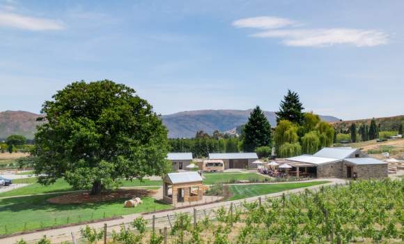 Copy of MCWinery