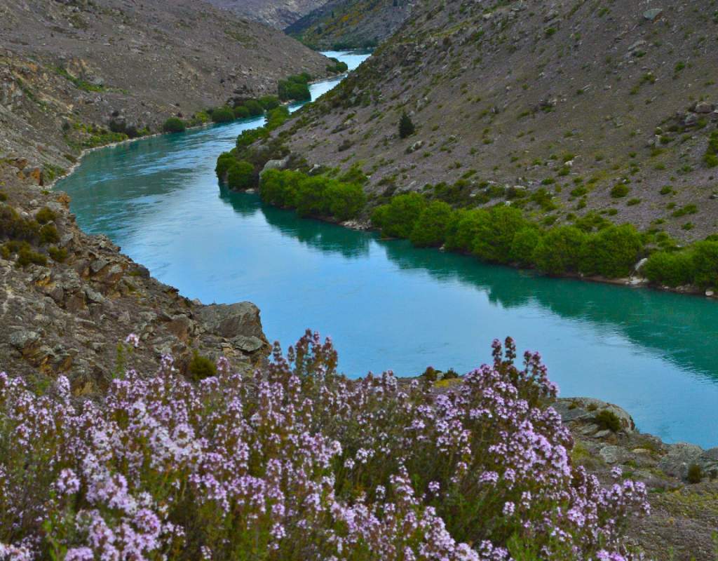 Cutha River Cruises Roxburgh Gorge Heritage Cruise Doctors Point views