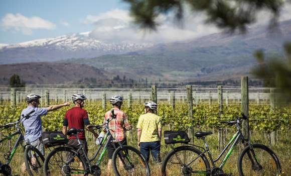 Cycle by wineries v2