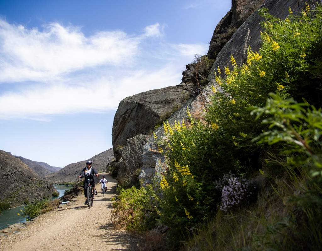 Cycle Story Image 6