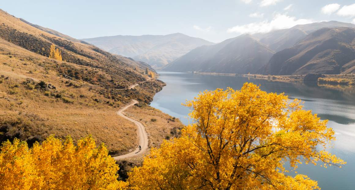Lake Dunstan Trail in Autumn Credit Will Nelson