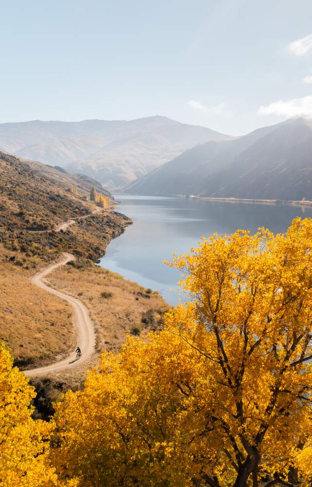 Lake Dunstan Trail in Autumn Credit Will Nelson
