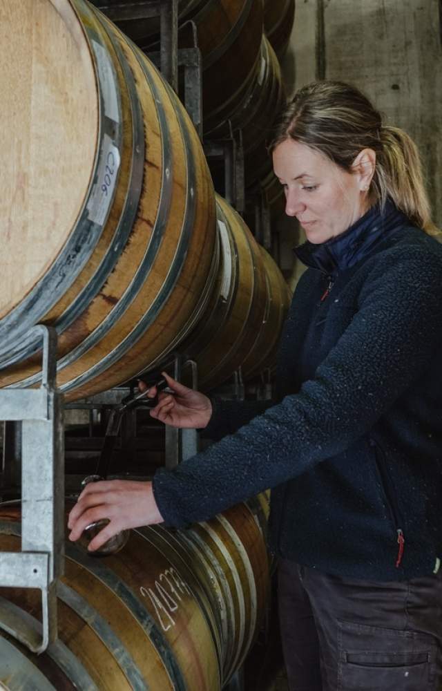 Carrick Winery 3