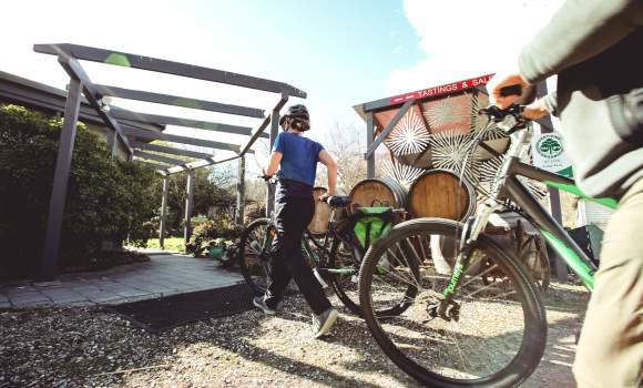 etc 2020 pedal for pinot judge rock wines 2 v2